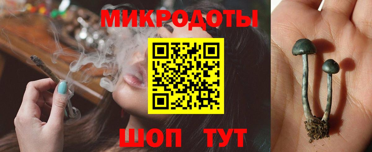 Вышний Волочёк  Псилоцибиновые грибы Magic Shrooms  Галлюциногенные грибы Magic Shrooms  Вход с VPN 