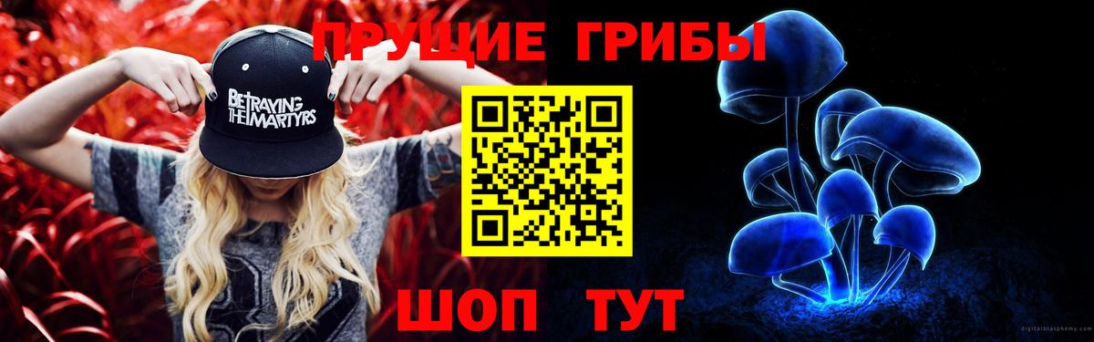Псилоцибиновые грибы GOLDEN TEACHER Вышний Волочёк
